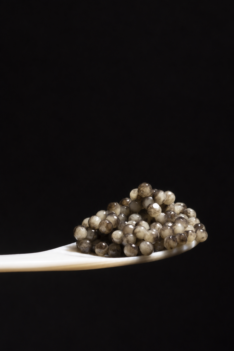 Aquatir caviar on a mother-of-pearl spoon against a dark background